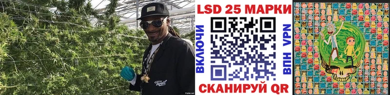 Марки NBOMe 1500мкг  mega как войти  Славск  даркнет сайт 